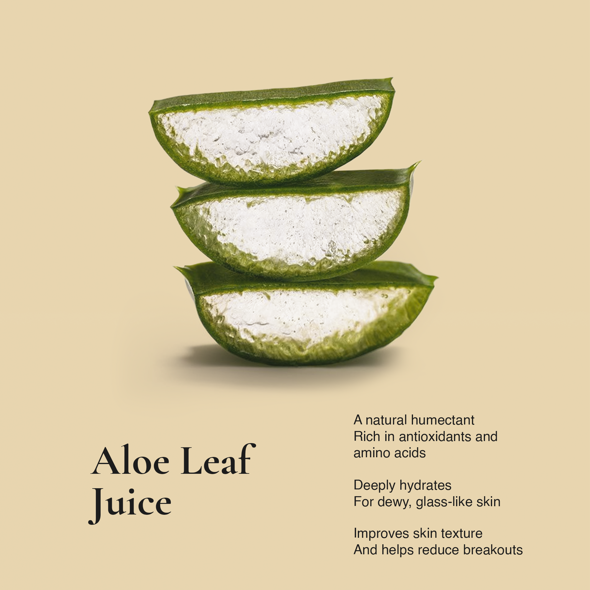 Clean & Hydrate Face Duo